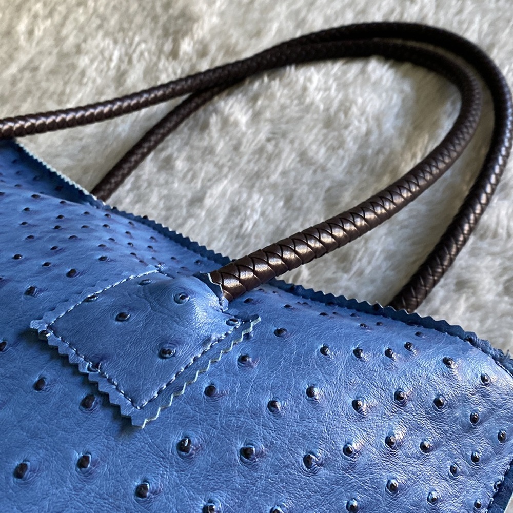 ⛱️ ☀️Ostrich Embossed Azure Tote